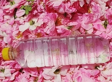 تصویر 4 از گلاب اصل دو آتیشه کاشان با عطر قوي و خلوص بالا